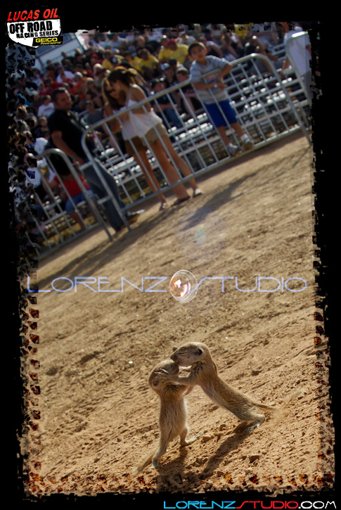DSC05365LOORRS3.jpg - SONY DSC