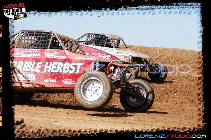 DSC07365LOORRS4.jpg - SONY DSC