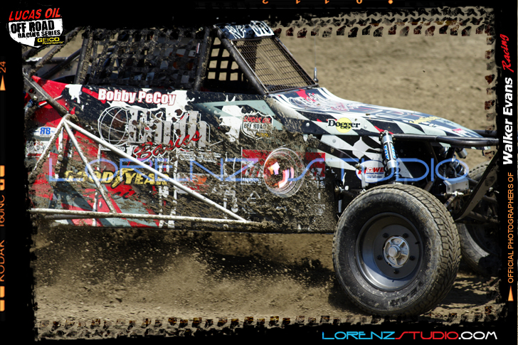DSC02113LOORRS5.jpg - SONY DSC