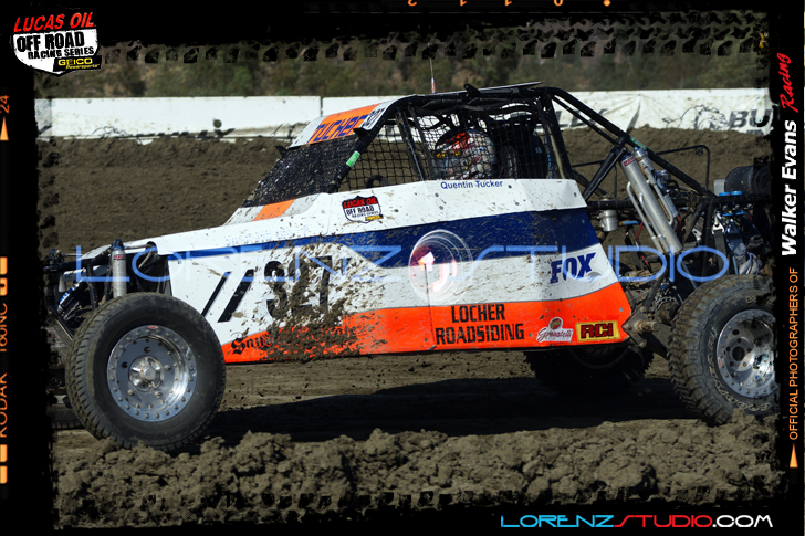 DSC07126LOORRS5.jpg - SONY DSC