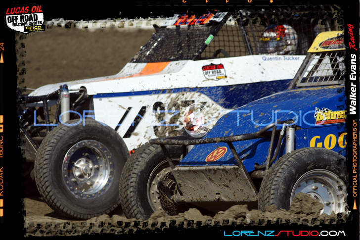 DSC07137LOORRS5.jpg - SONY DSC