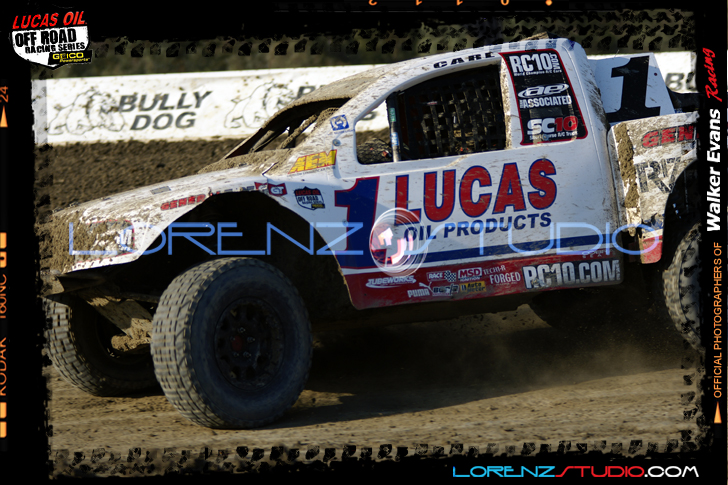 DSC08139LOORRS5.jpg - SONY DSC