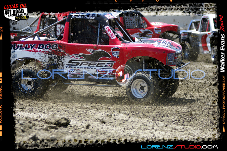 DSC08166LOORRS6.jpg - SONY DSC