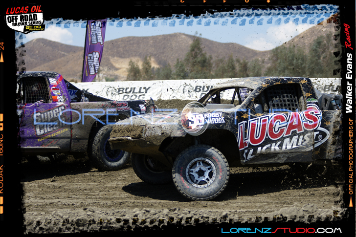 DSC08528LOORRS6.jpg - SONY DSC