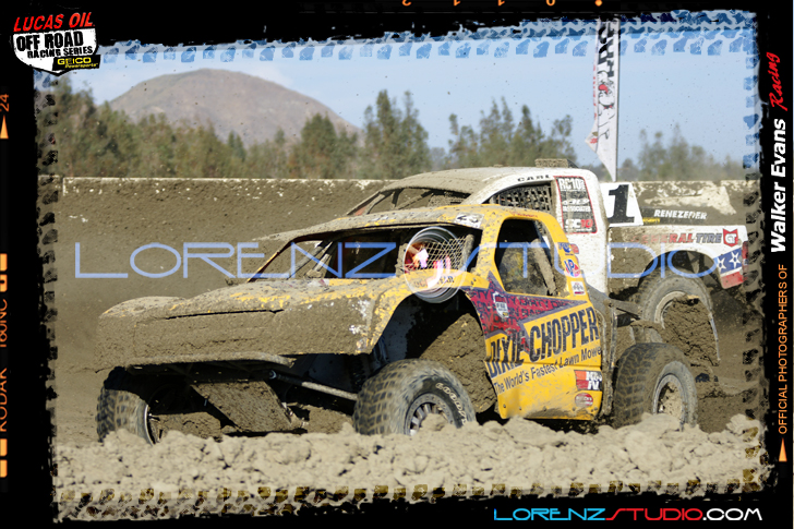 DSC08983LOORRS6.jpg - SONY DSC