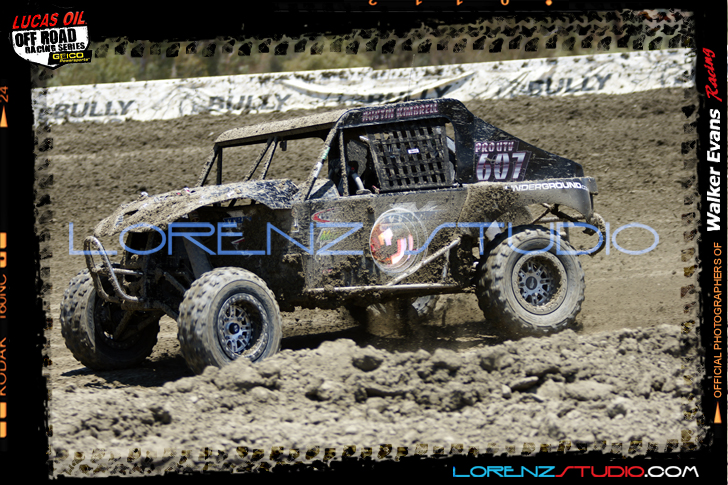 DSC08456LOORRS6.jpg - SONY DSC
