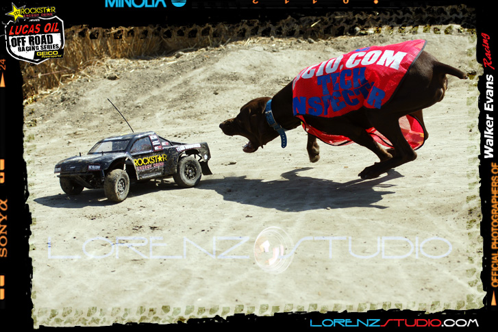 DSC09211LOORRS8.jpg - SONY DSC