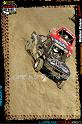 DSC02556LOORRS8