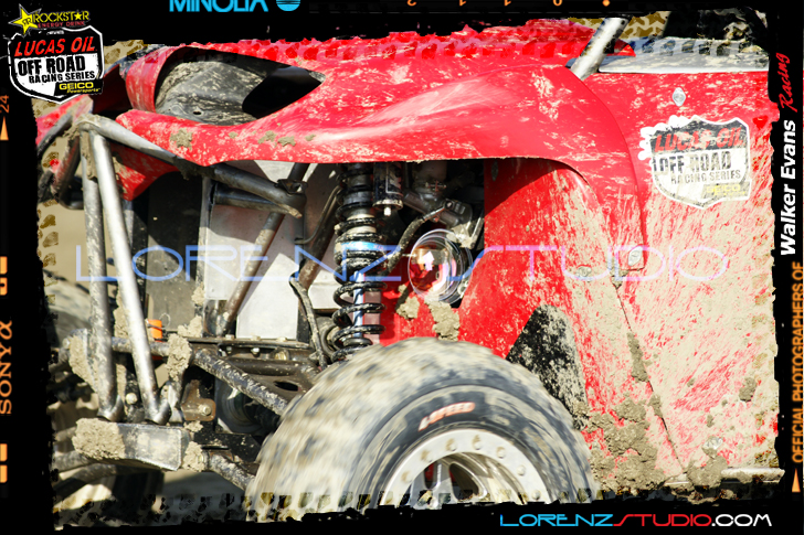 DSC09573LOORRS8.jpg - SONY DSC