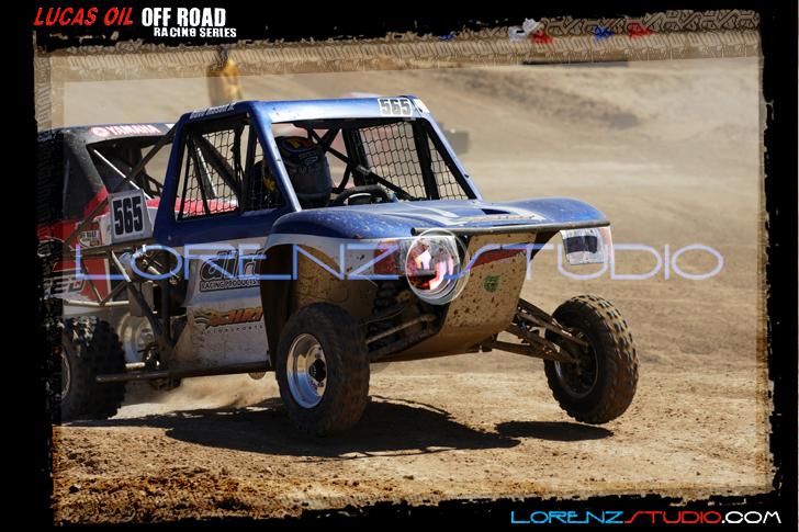 DSC08452loorrs1sunn.jpg - SONY DSC
