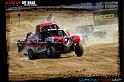 DSC08189loorrs1sunn