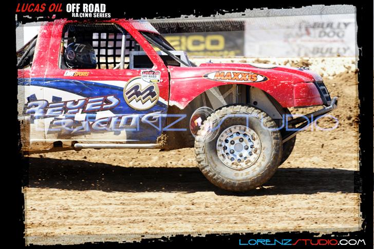 DSC07939loorrs1sunn.jpg - SONY DSC